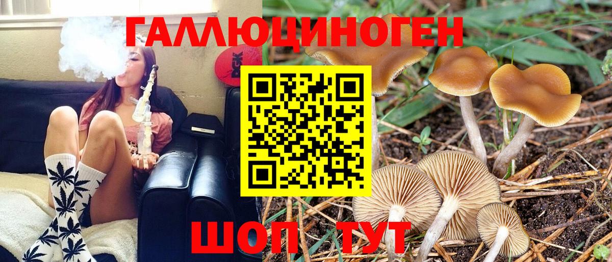 Кулебаки  Галлюциногенные грибы Magic Shrooms  Вход с VPN  Галлюциногенные грибы мицелий 