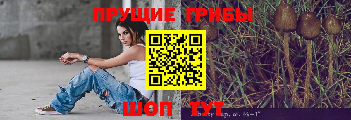 Псилоцибиновые грибы прущие грибы Кулебаки